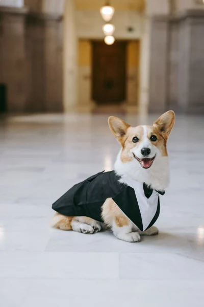 Source photo for Best dressed