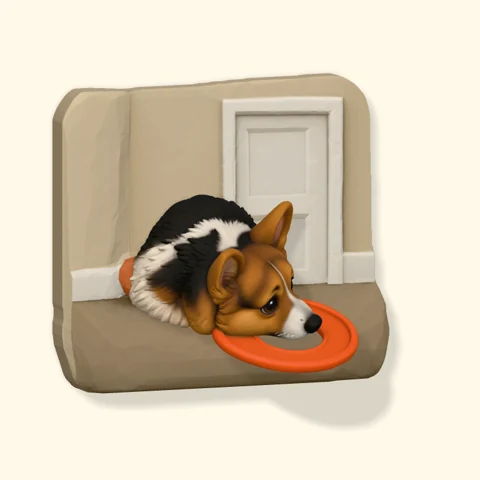 Corgi resting with a bright red toy.