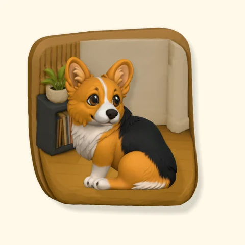 Corgi sitting on a wooden floor at home.