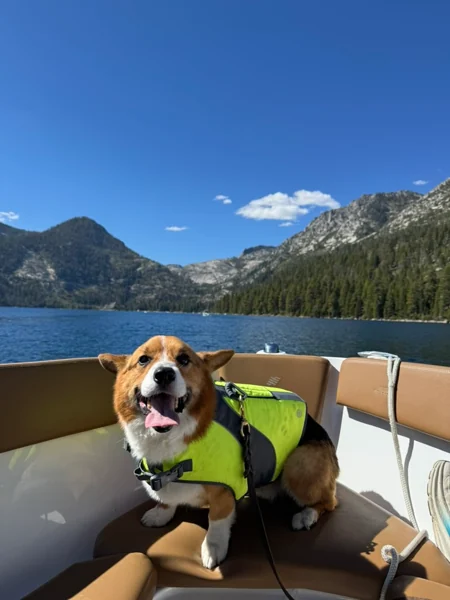 Source photo for Lake days