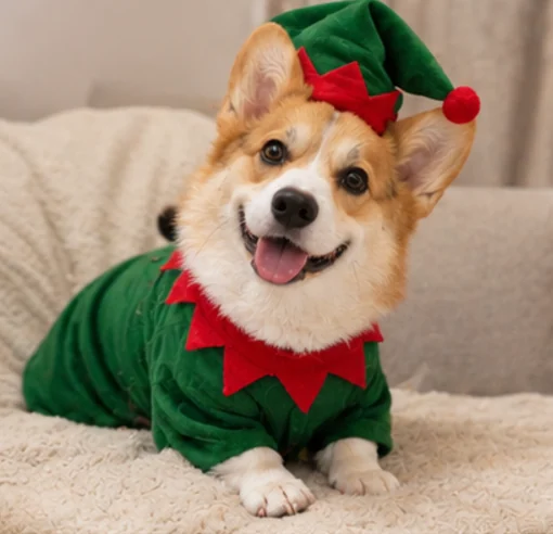 Source photo for Little helper