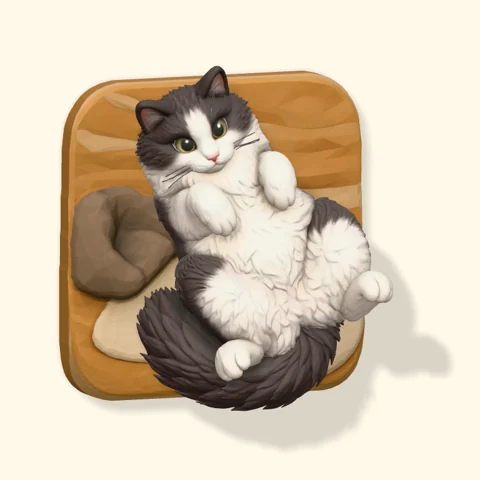 Fluffy black-and-white cat sitting with its paws tucked up.