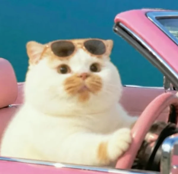 Source photo for Sunday drive